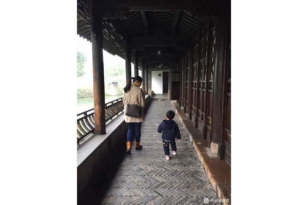 带娃去杭州旅游攻略 国内带娃旅游攻略