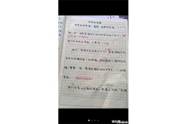 成都的作文 游成都锦里作文