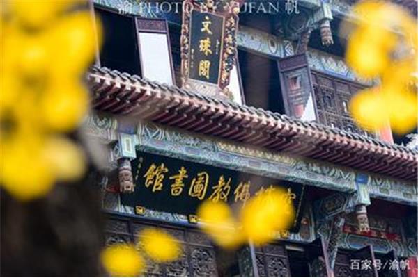 元旦成都旅游攻略,元旦成都周边旅游攻略